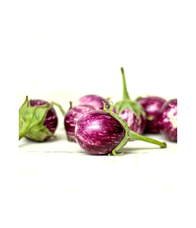 Fresh Indian Brinjal / Eggplant – Buy Online at WorldFoodHub