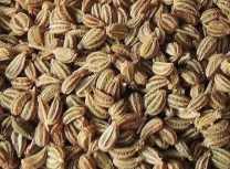 TRS Ajwain - Aromatic Indian Spice for Pakora and More | WorldFoodHub