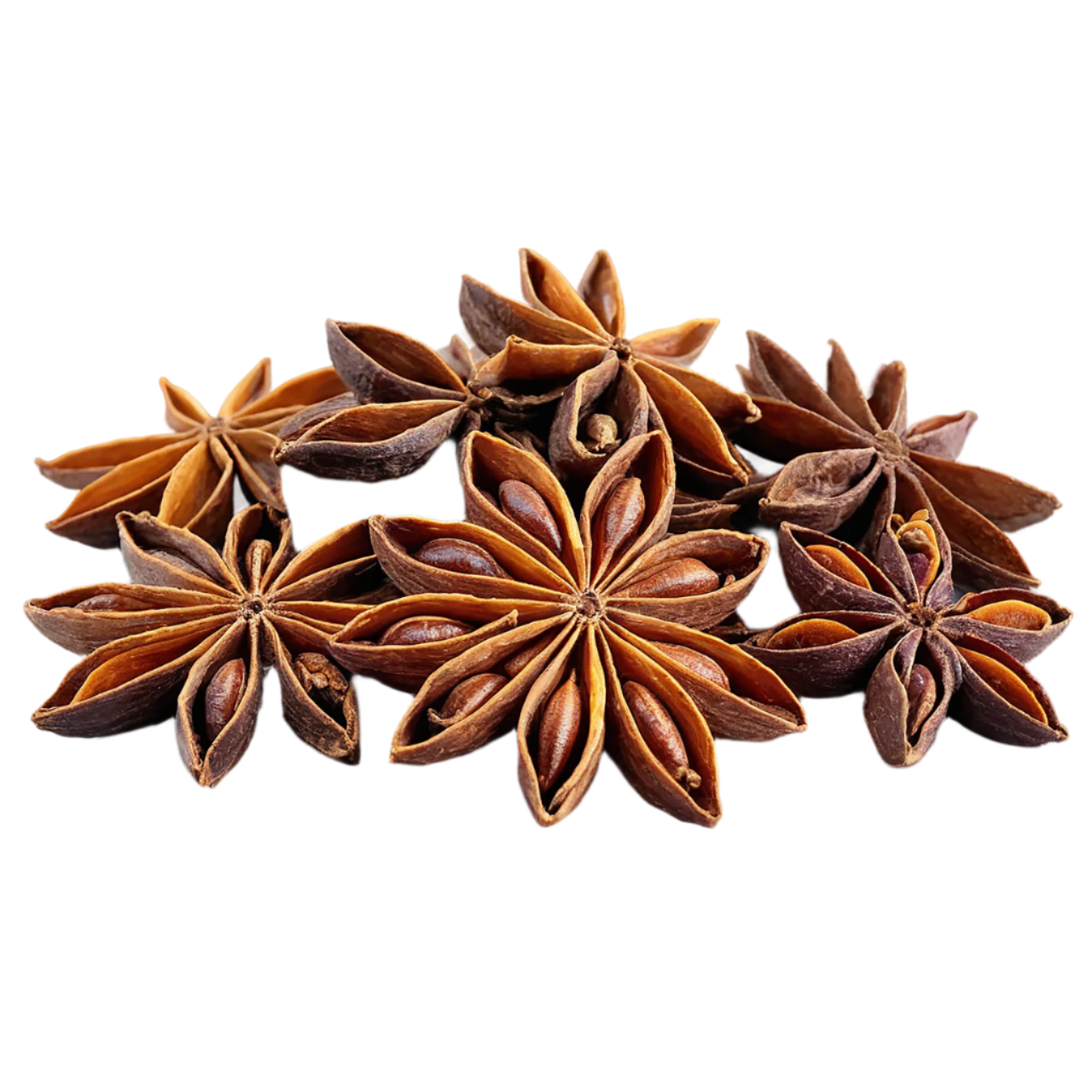 TRS Badian Star Aniseed, 100g - Available at Worldfoodhub for flavorful cooking and traditional dishes.