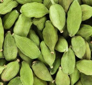 TRS Green Cardamom Pods Eliachi Fresh Aromatic - WorldFoodHub