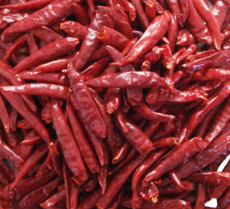 Aachi Long Red Dried Chilli with Stem - Premium Indian Chilli for Curries and Stews